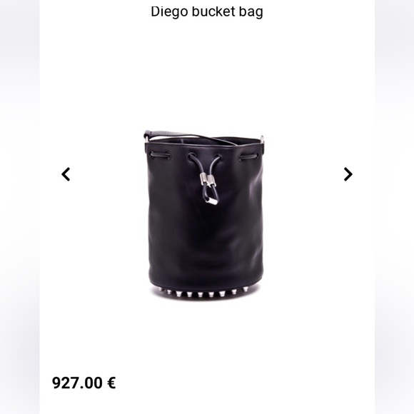 Alex Wang purse, perfect gift for significant other or young lady in your family - Picture 12 of 14